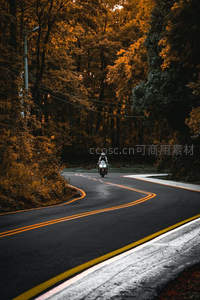 孤身骑士穿行于秋日森林公路