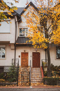 秋日暖阳下住宅门前的金黄树影