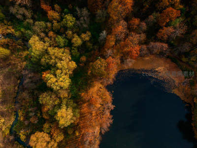 秋日森林湖畔航拍，斑斓色彩如油画