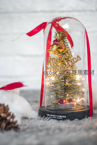 玻璃罩内小圣诞树，金色闪亮送祝福