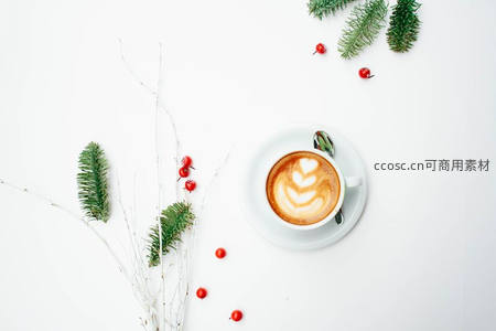 咖啡拉花配松枝浆果，冬日静谧时光