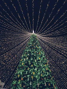 璀璨灯光下的巨型圣诞树夜景