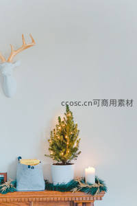 迷你圣诞树与鹿头墙饰相伴