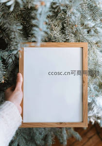 手捧木质相框置于雪松枝前