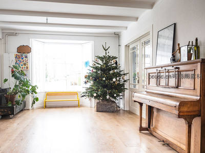 明亮客厅中古典钢琴旁的圣诞树