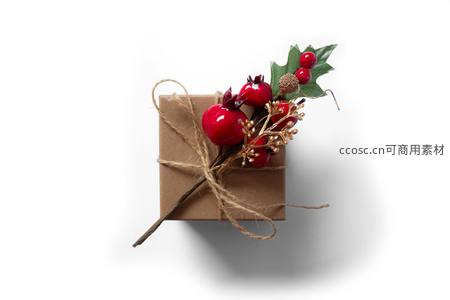 简约风圣诞礼盒配浆果枝叶