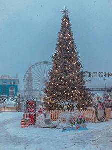 雪夜广场巨型圣诞树，摩天轮映衬节日灯火