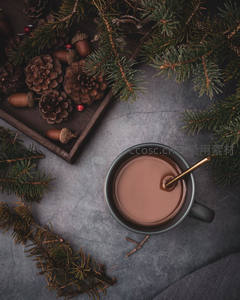 热巧克力配松枝松果，冬日暖心时刻