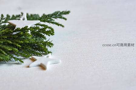 松枝与白星点缀的节日静物