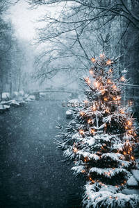 雪夜中闪烁的圣诞树，浪漫宁静