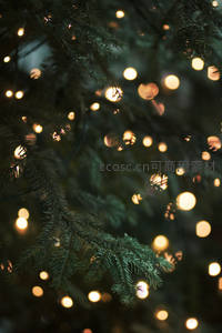 圣诞树上朦胧光斑的温柔特写