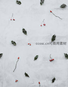 冬日浆果与绿叶的静谧构图