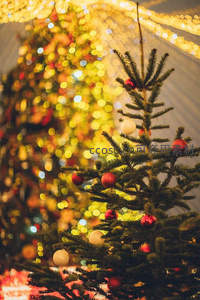 前景小圣诞树点缀红白球，背景灯火辉煌