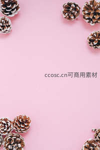 粉色背景上的松果边框装饰
