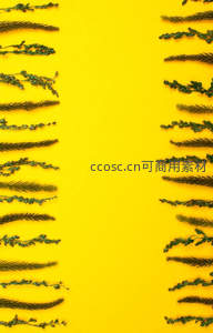 黄色背景两侧对称排列的松枝边框