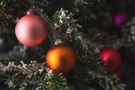 雪松枝头彩球点缀节日氛围