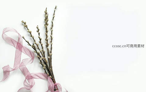柔美柳枝与粉色丝带的春日礼赞