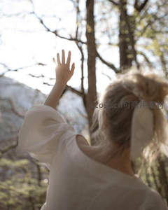 林间伸向阳光的手