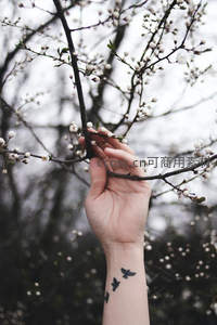 手抚花枝，腕上飞鸟纹身相伴