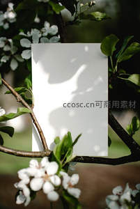 白纸倚枝花影摇曳，静谧春意盎然