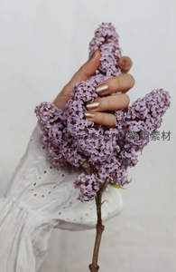 手捧紫丁香，温柔春日时光