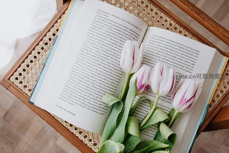 书页间绽放的郁金香，书香与花香交织静谧时光