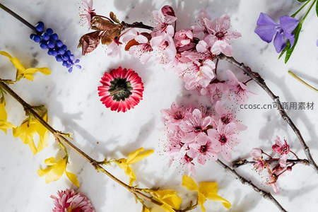 俯拍视角下的缤纷春花艺术构图