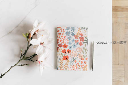 白色玉兰花枝与花卉图案笔记本的清新桌面