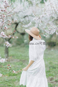 白衣女子背影立花树下赏春光