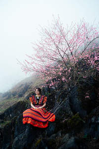 山巅花树下民族服饰女子静坐