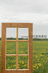 木窗框住金黄野花田野