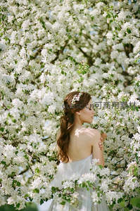 花海新娘，白裙与繁花共舞