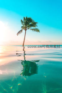 夕阳下的孤棕榈树倒影，如梦似幻的海景