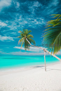 碧海白沙椰影斜，热带天堂度假地