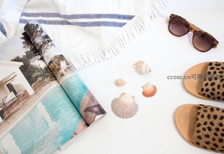 沙滩风情：贝壳、墨镜与度假杂志的惬意时光