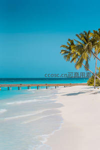 碧海白沙椰影长桥入画