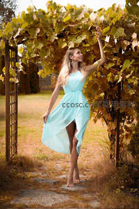蓝裙女子漫步葡萄藤架下，秋意盎然