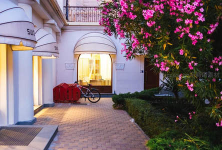 粉色花树下的欧式建筑入口庭院