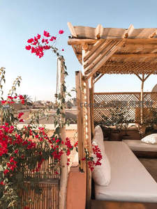 露台竹架红花盛放休憩时光