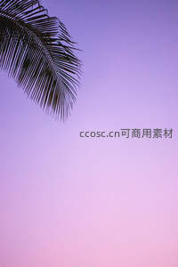 紫粉渐变天空下椰叶剪影静谧美