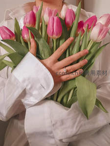 手捧粉色郁金香，温柔与浪漫的瞬间