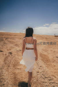 白衣女子背影漫步金色草原，自由洒脱