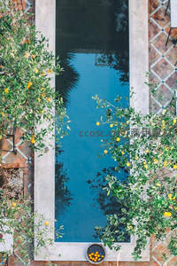 俯瞰泳池与柠檬树的静谧庭院