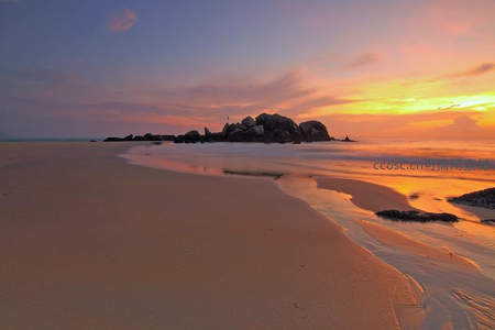 夕阳熔金洒满海岸礁石滩涂