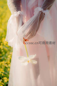 薄纱袖口轻挽，手捧白花静谧优雅