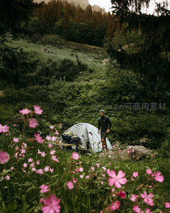 花海森林中男子整理露营装备