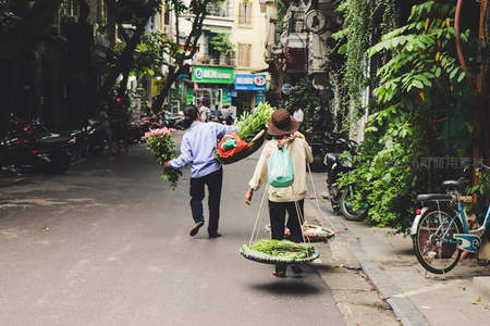 街头挑担的越南小贩，穿梭于绿荫巷道之间