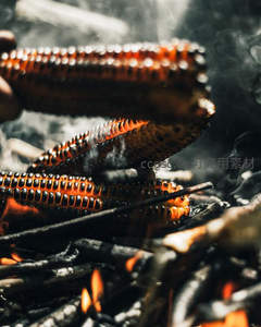 炭火上烤制焦香玉米特写