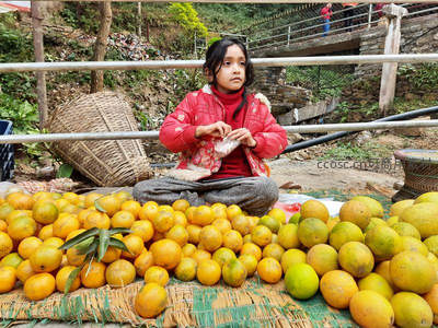 山间小女孩守摊卖橙子