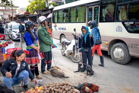 路边集市人狗共处热闹非凡